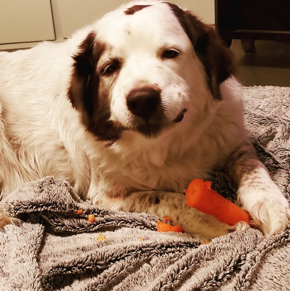 Meet your Posher, Mary - Picture 6 of 9